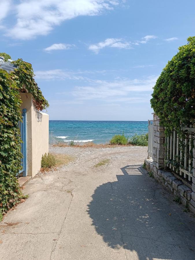 Niki Apartments Sea View Attic Platamonas Exterior foto