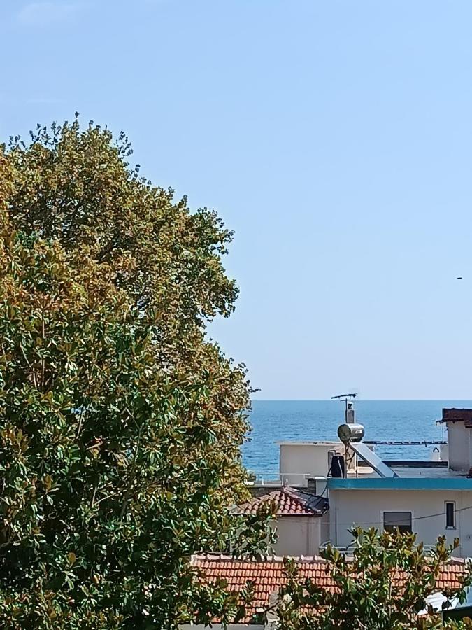 Niki Apartments Sea View Attic Platamonas Exterior foto