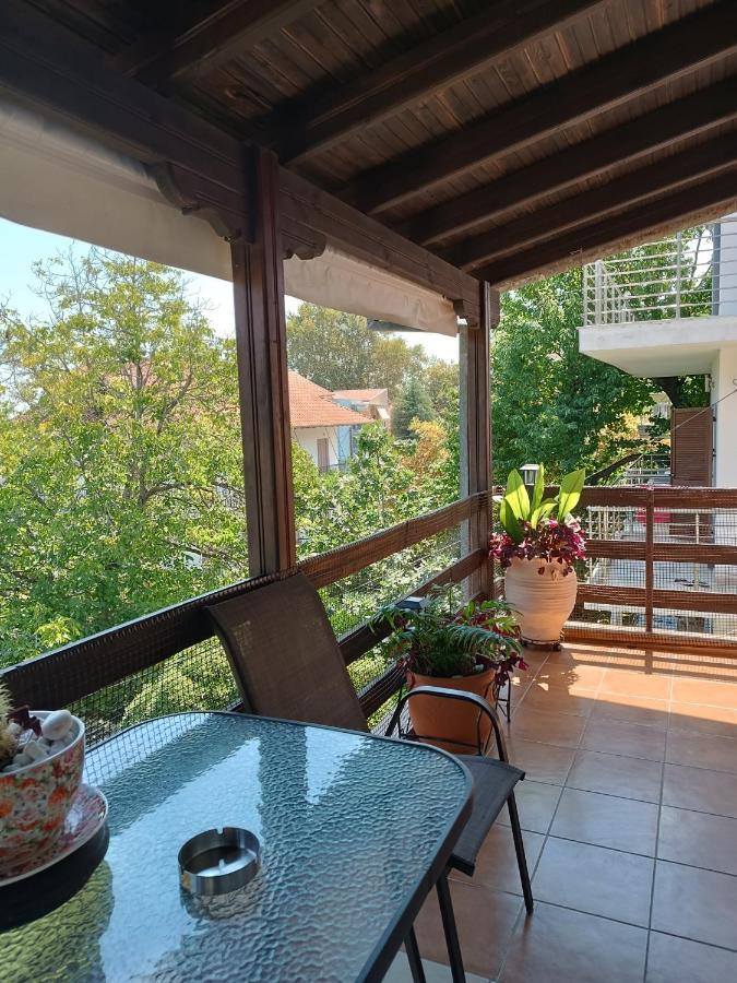 Niki Apartments Sea View Attic Platamonas Exterior foto