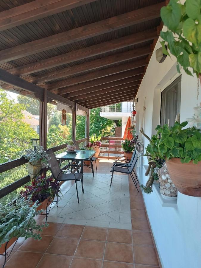 Niki Apartments Sea View Attic Platamonas Exterior foto